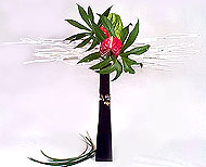 ۥѪ-\(3).JPG (13147 bytes)