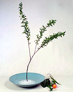 Rs(ͪs^)-3.JPG (12421 bytes)