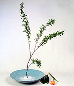Rs(ͪs^)-2.JPG (12040 bytes)