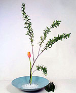 Rs(ͪs^)-1.JPG (12546 bytes)