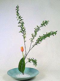 Rs(ͪs^).JPG (19053 bytes)