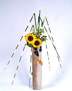 062190\ۥѪ.JPG (22975 bytes)