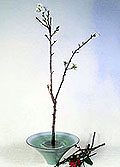 ���q�^(�G�إ�)-1.JPG (9792 bytes)