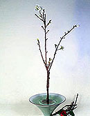 ���q�^(�G�إ�)-2.JPG (10476 bytes)