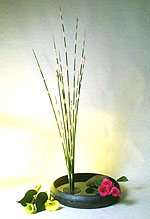 ���筻(������)-1.JPG (13293 bytes)