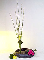 ���筻(������)-2.JPG (10350 bytes)