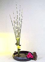 ���筻(������)-3.JPG (12200 bytes)