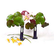 ��ѷR(�ۥѪ�)A-2.JPG (13302 bytes)